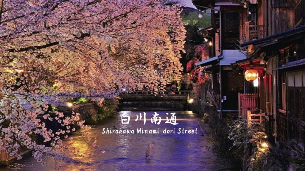 Gion Shirakawa Street Japan 2024