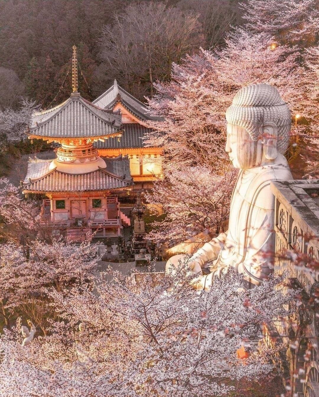 奈良の津波寺院の日本と一緒に