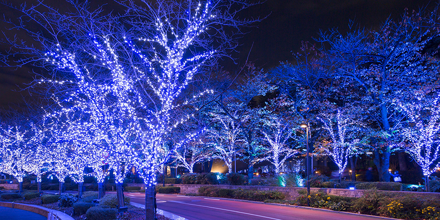 Vem com Tokyo Midtown Starlight Garden, Japão 2024