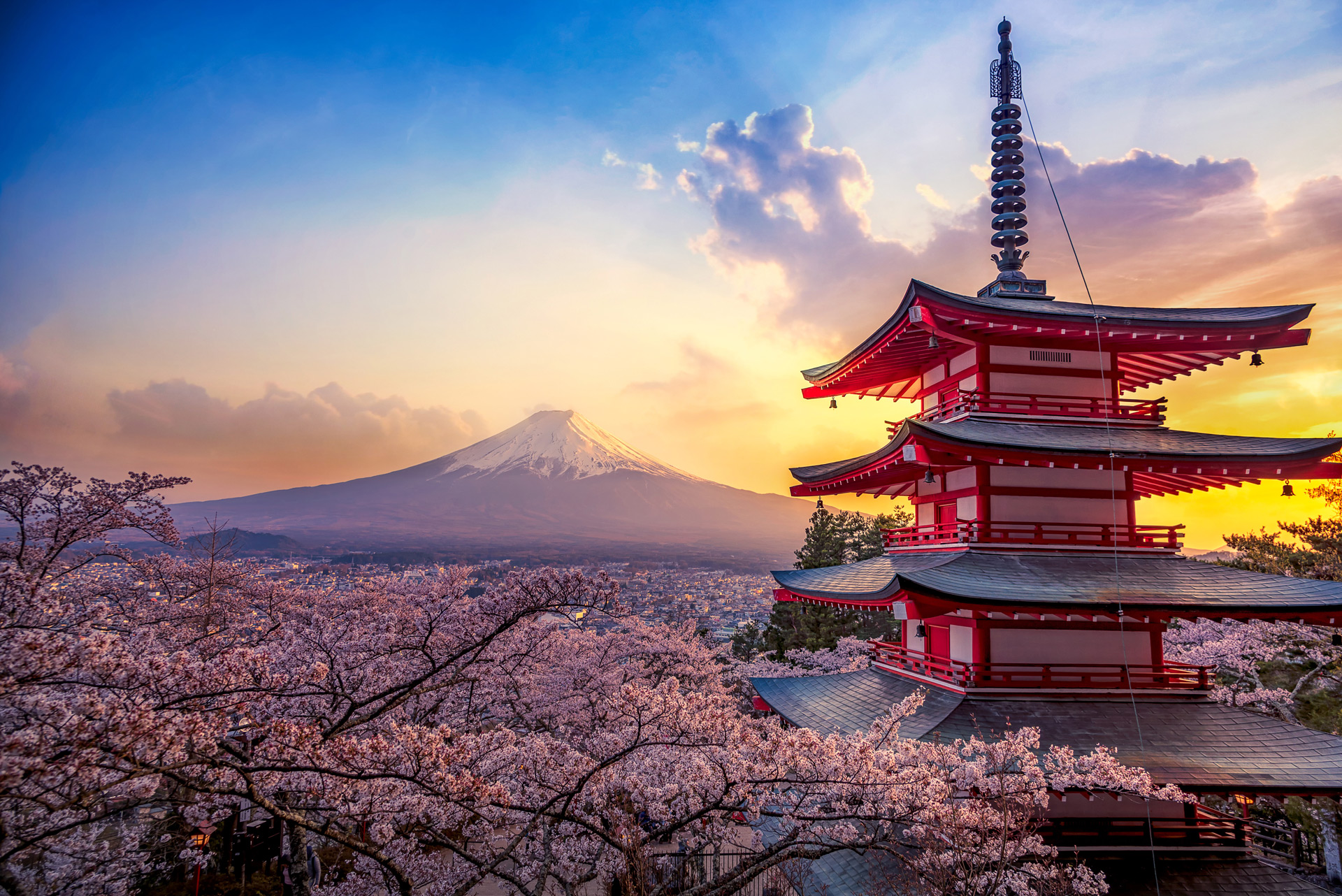 คำแนะนำเกี่ยวกับเทศกาล Tokyo Sakura Garden Spring Festival ในญี่ปุ่น