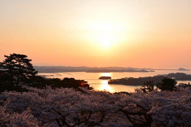 About Miyagi Prefecture Top Attractions in Japan
