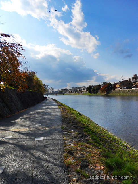 Tutto intorno a una passeggiata lungo Kamo River Japan 2024