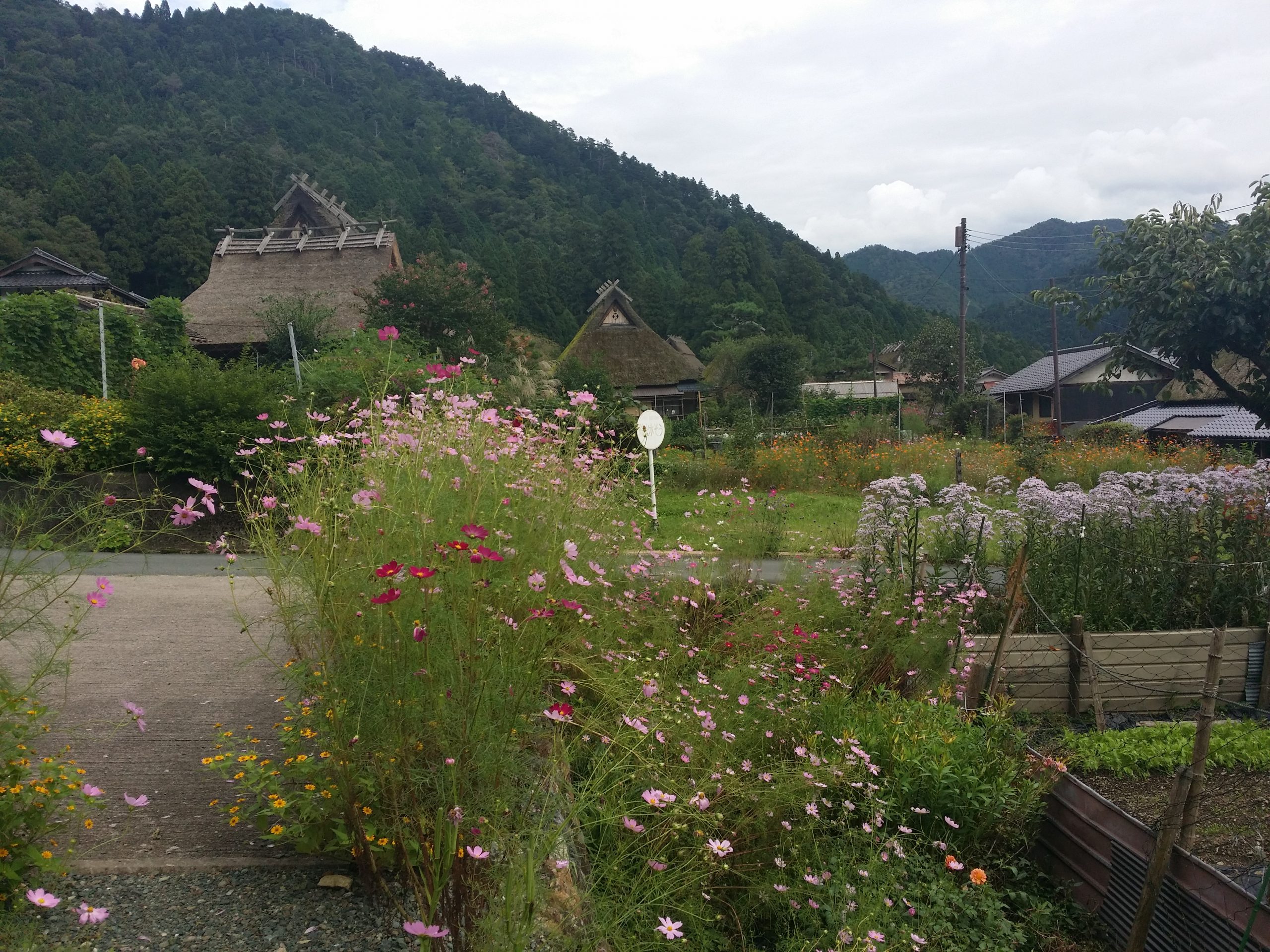 Ich werde nach Miyata, einer Zuflucht in den Kyoto Mountains, 2024.