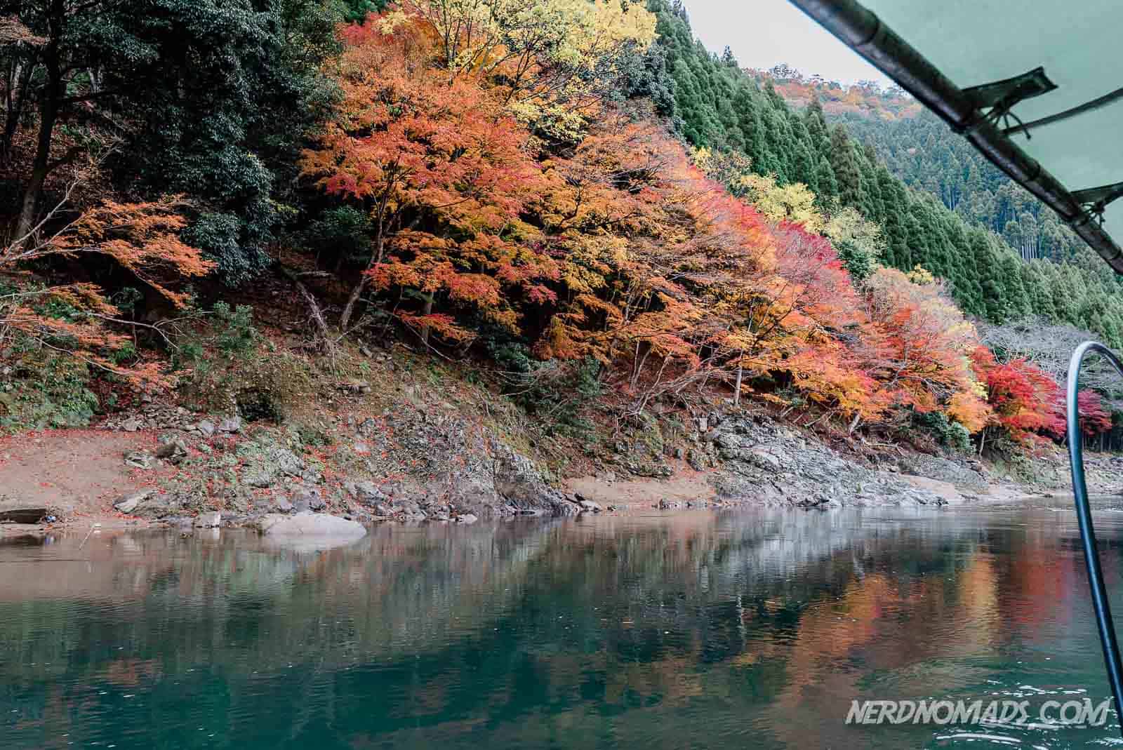 Visiting Autumn at Hozugawa River Japan 2024