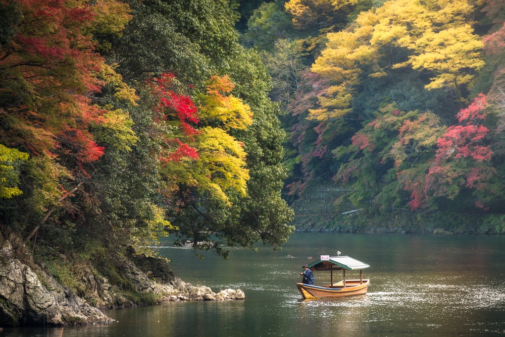 Visiting Autumn at Hozugawa River Japan 2024 2