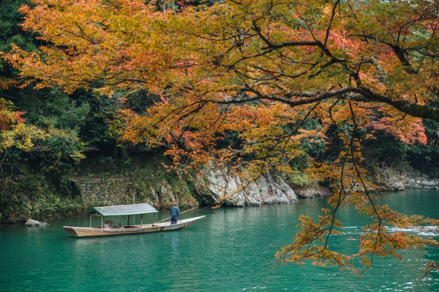 Visiting Autumn at Hozugawa River Japan 2024 3