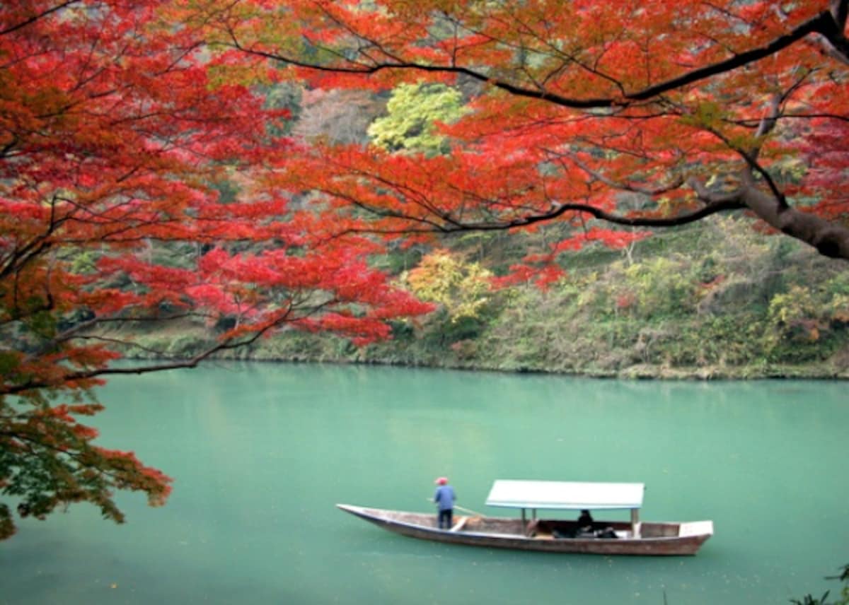 Visiting Autumn at Hozugawa River Japan 2024 5