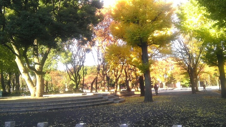 Visiting Autumn in Ueno Park Japan