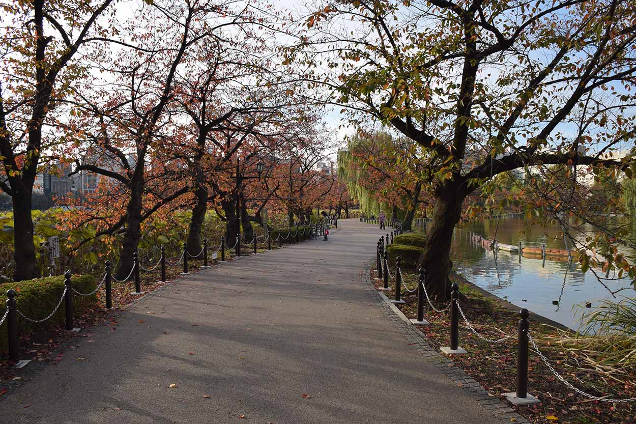 Visiting Autumn in Ueno Park Japan 4