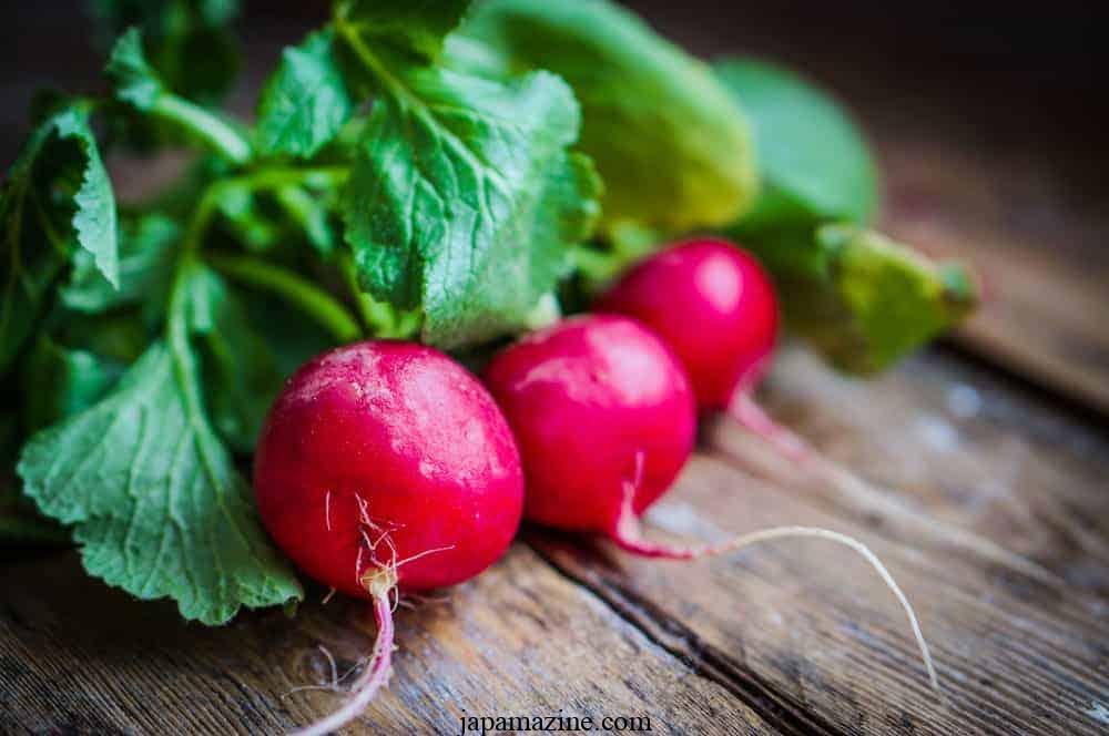 10 Tips for Growing Radishes in Pots or Containers 4