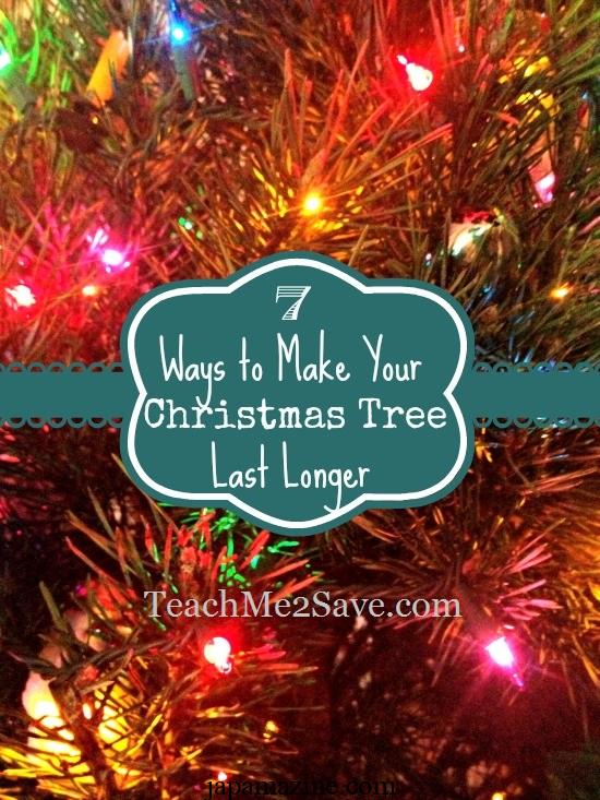 7 Proven Tips and Tricks to Make a Christmas Tree Last Longer